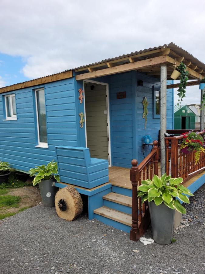 Hotel Wedger'S Hut à Nenagh Extérieur photo